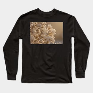 Magnolia at Sunrise (Landscape) Long Sleeve T-Shirt